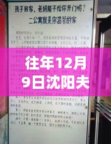 沈陽夫妻工最新招聘信息獲取攻略,高效尋找工作機會的指南