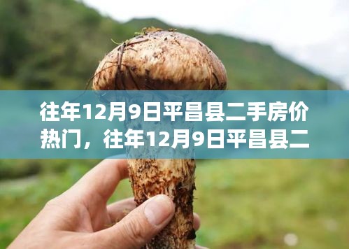 往年12月9日平昌縣二手房價解析,熱門趨勢與市場洞察