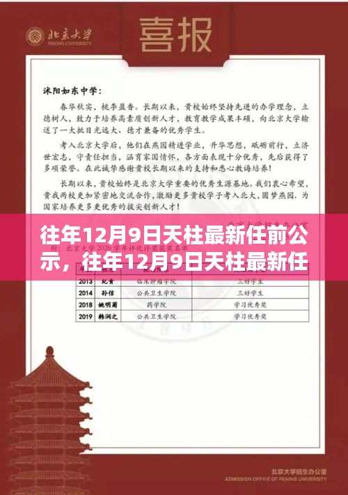 天柱最新任前公示詳解,流程步步為贏,助力輕松完成公示任務(wù)