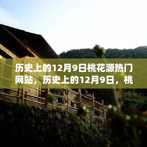 歷史上的12月9日,桃花源熱門網站點亮學習之光,成就自信與夢想之路