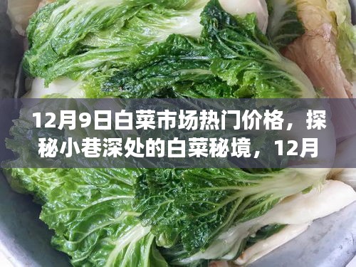 探秘白菜秘境,揭秘白菜市場獨家熱門價格,白菜市場最新行情報道(12月9日)