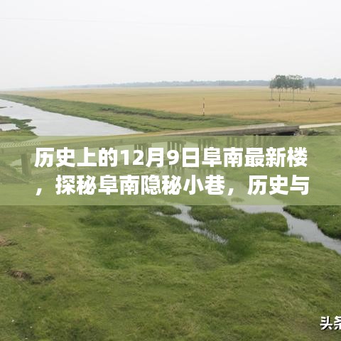 探秘阜南隱秘小巷,最新樓的歷史與美食交匯點——12月9日阜南最新樓揭秘之旅
