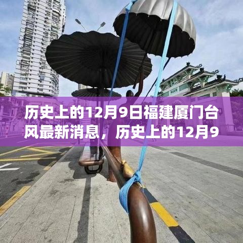 歷史上的12月9日福建廈門臺風最新消息全面解讀與最新動態分析