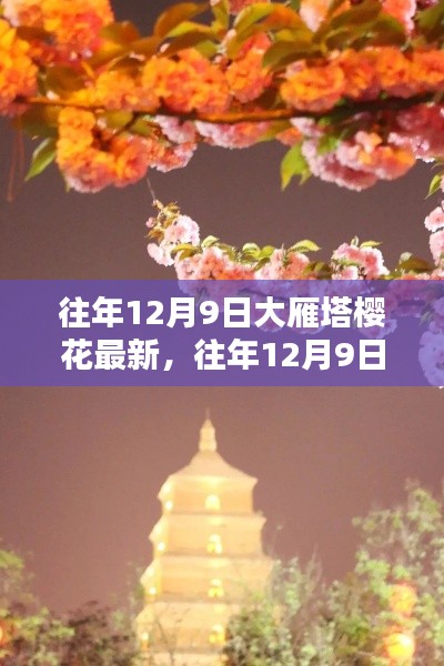 大雁塔櫻花綻放盛景,歷年12月9日的最新篇章