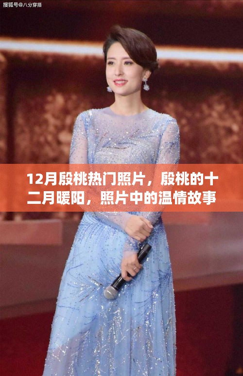 殷桃十二月暖陽,照片中的溫情故事,展現無盡魅力
