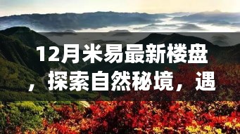 探索自然秘境,遇見心靈港灣,米易最新樓盤冬日暖陽之旅