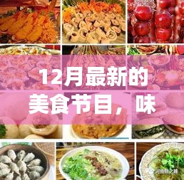 十二月美食盛宴,探索最新美食節目的獨特魅力與影響力