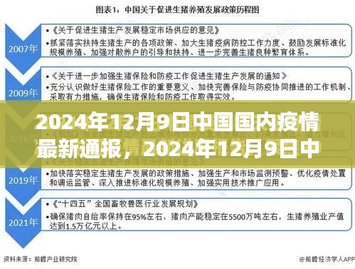 2024年12月9日中國疫情最新通報詳解,了解現狀與應對措施