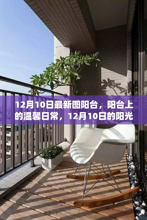 陽臺上的溫馨日常,陽光下的故事,12月10日的獨(dú)特時光
