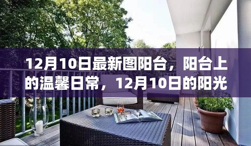 陽臺上的溫馨日常,陽光下的故事,12月10日的獨(dú)特時光