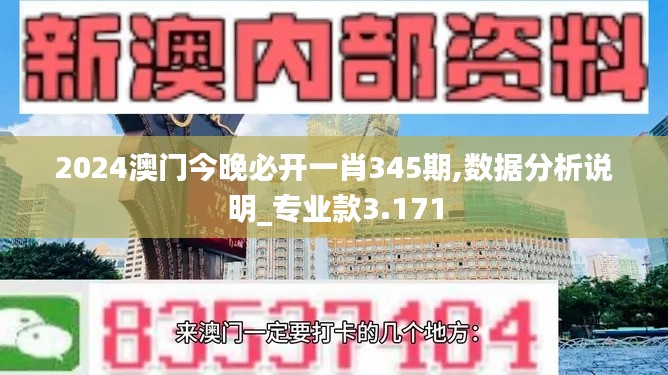 2024澳門今晚必開一肖345期,數據分析說明_專業款3.171