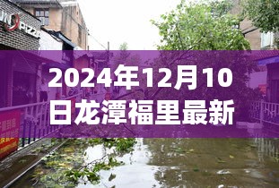 揭秘龍潭福里獨特風情與最新房價探索之旅(2024年12月10日最新房價更新)