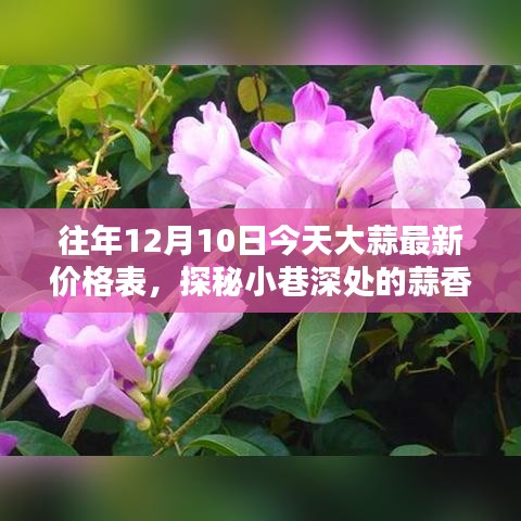 探秘小巷深處的蒜香寶藏,最新大蒜價格表揭秘(日期標注為往年12月10日)