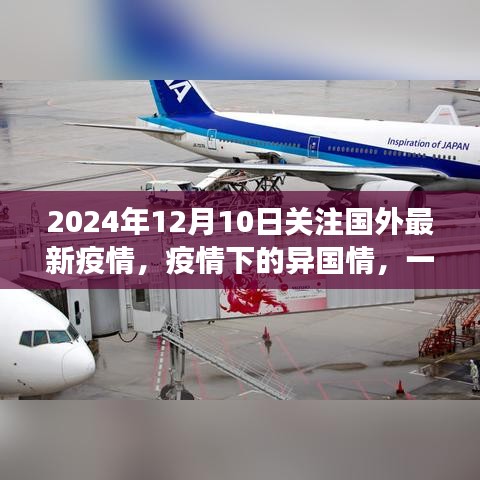 跨越國界的暖心故事,國外疫情下的異國情與暖心時刻(2024年12月10日關注)