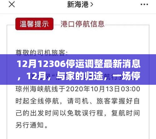 12月停運調整心系歸途,12306最新消息與溫情之旅向家出發