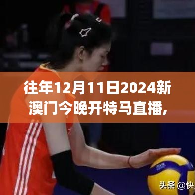 往年12月11日2024新澳門今晚開特馬直播,靈活實施計劃_手游版110.728