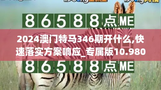 2024澳門特馬346期開什么,快速落實方案響應_專屬版10.980