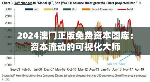 2024澳門正版免費資本圖庫:資本流動的可視化大師