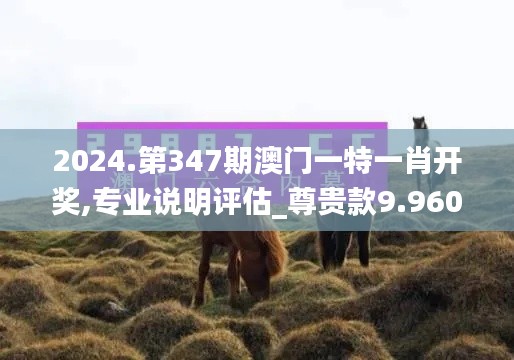2024.第347期澳門一特一肖開獎,專業說明評估_尊貴款9.960