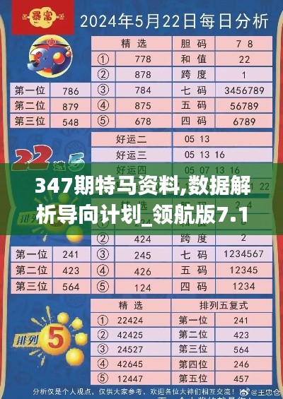 347期特馬資料,數據解析導向計劃_領航版7.162