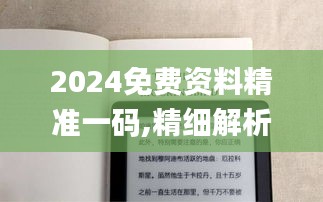 2024免費資料精準一碼,精細解析說明_Kindle4.232