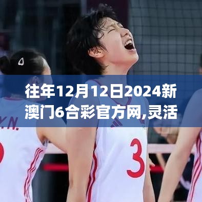 往年12月12日2024新澳門6合彩官方網,靈活設計操作方案_HDR版8.222