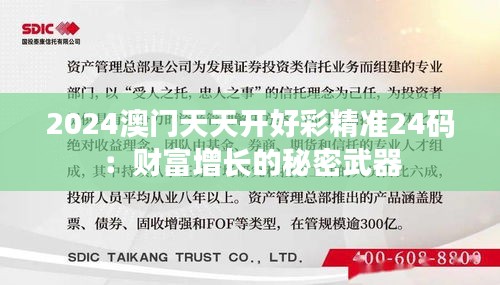 2024澳門天天開好彩精準24碼：財富增長的秘密武器