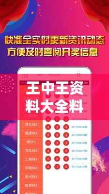 王中王資料大全料大全1：資料查找的快速通道