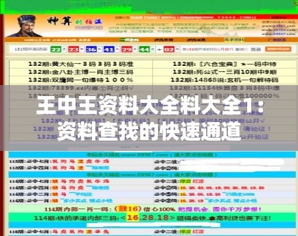 王中王資料大全料大全1:資料查找的快速通道