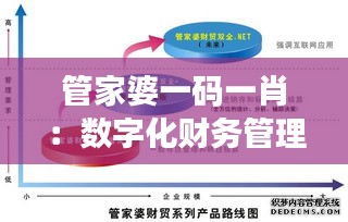 管家婆一碼一肖:數字化財務管理的便捷通道