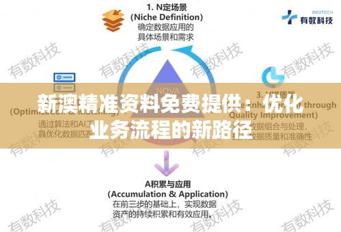新澳精準資料免費提供:優化業務流程的新路徑