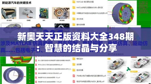 新奧天天正版資料大全348期:智慧的結(jié)晶與分享