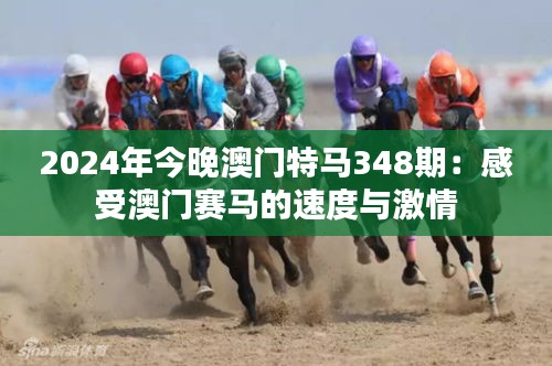 2024年今晚澳門特馬348期:感受澳門賽馬的速度與激情