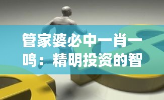 管家婆必中一肖一鳴:精明投資的智慧