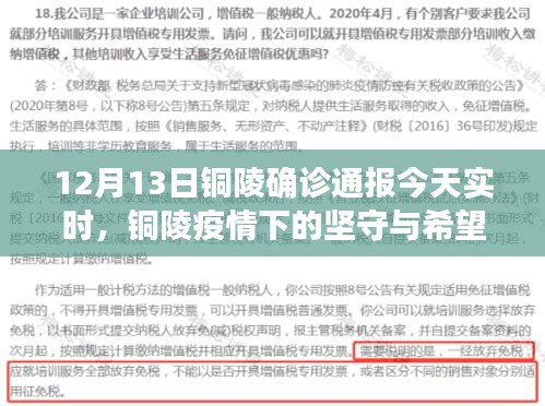 銅陵疫情下的堅守與希望,最新實時確診通報觀察