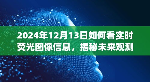 揭秘未來觀測,深度解讀實時熒光圖像信息,預見未來視界(2024年實時熒光圖像指南)