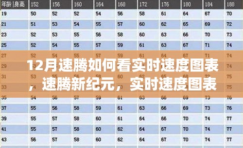 速騰新紀元，實時速度圖表科技重塑駕駛體驗解析