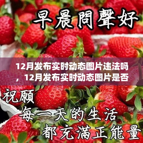 解讀,實時動態圖片發布是否違法?關于12月發布實時動態圖片的法規與案例分析