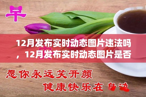 解讀,實時動態圖片發布是否違法?關于12月發布實時動態圖片的法規與案例分析