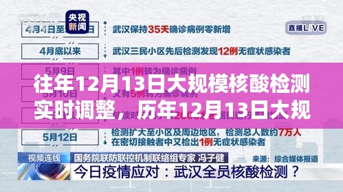 歷年12月13日大規模核酸檢測調整與優化策略回顧,實時調整與經驗分享