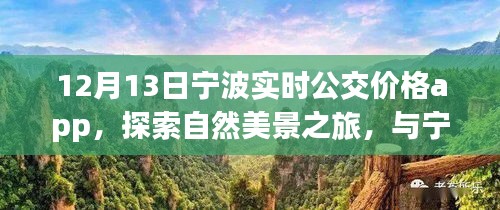 寧波實時公交價格app,探索自然美景與內心寧靜之旅