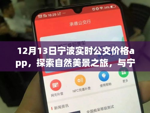 寧波實時公交價格app,探索自然美景與內心寧靜之旅