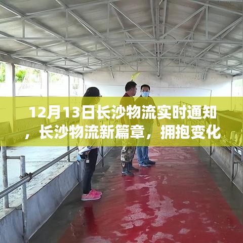 長沙物流新篇章,擁抱變化,共舞奇跡