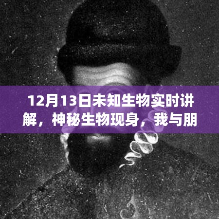 未知生物揭秘,神秘現身與溫馨探險之旅