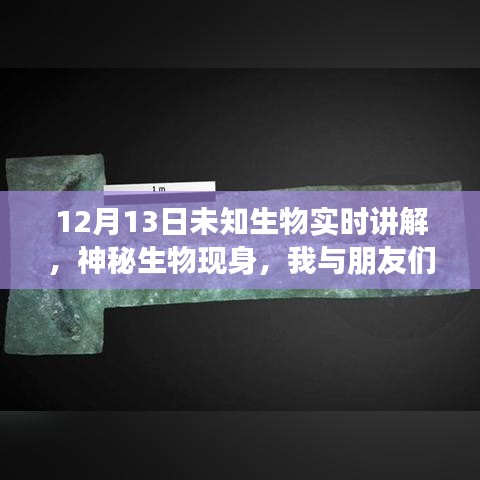 未知生物揭秘,神秘現身與溫馨探險之旅