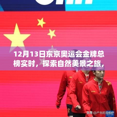 東京奧運會金牌總榜下的心靈洗禮與自我發現之旅,自然美景的探索之旅(實時更新)