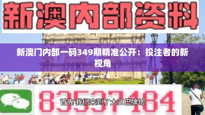 新澳門內部一碼349期精準公開:投注者的新視角