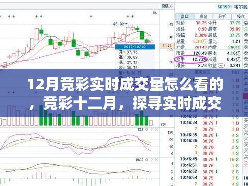 探尋競彩十二月實時成交量奧秘與影響,成交量分析與解讀