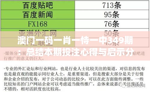 澳門一碼一肖一恃一中349期:總結本期投注心得與啟示分享