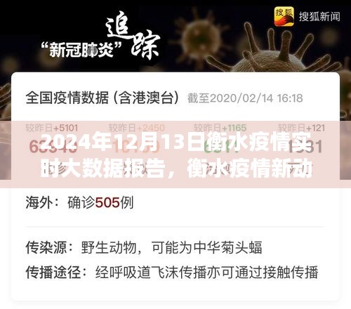 科技引領抗疫新時代,衡水疫情實時大數據報告與智能監控系統的最新動態